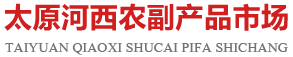  上海首擎信息科技有限公司